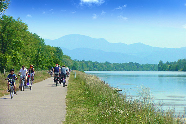 Rad fahren am Rhein