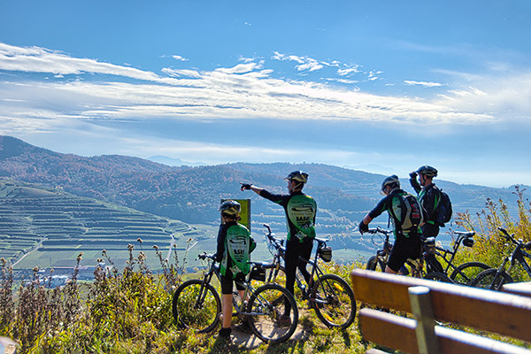 MTB Tour am Kaiserstuhl